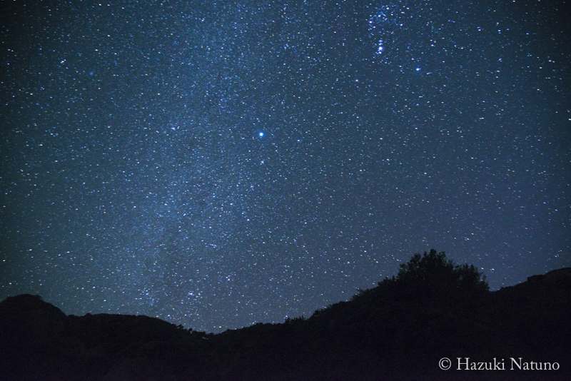 夜の海、星の声